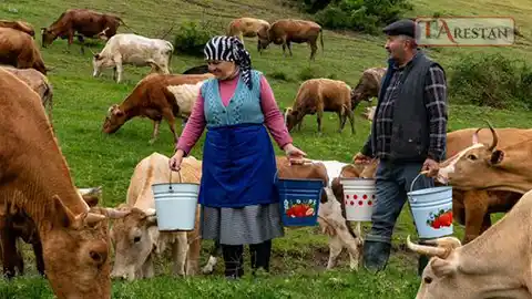 روال عادی  زندگی روستایی آذربایجان