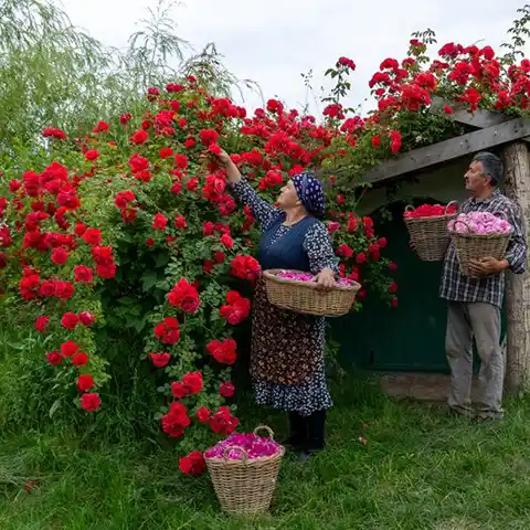 سکوت و آرامش در زندگی روستایی آذربایجان